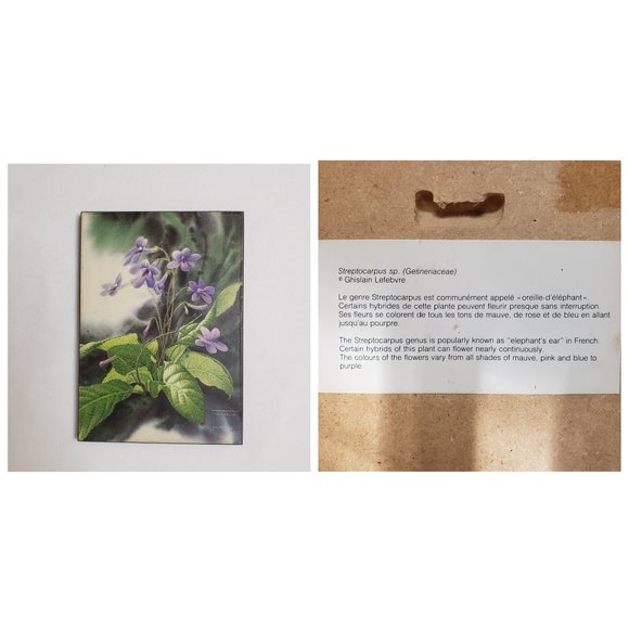 ART Botanical Floral Prints in Lavender Green Set of 3 - Picture 8 of 11